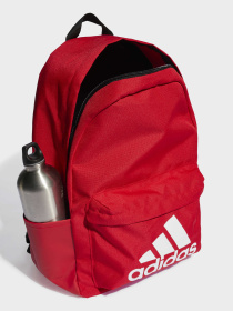 Рюкзаки Adidas модель IL5809 Фото