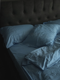 Комплект постільної білизни небесно-блакитний з вишитими гілками Cozy модель 10082600 Фото
