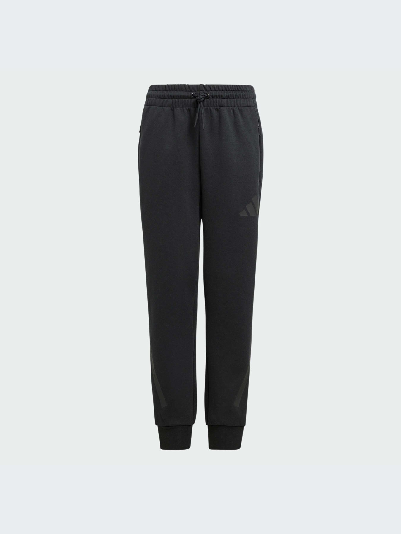 Штани Adidas ZNE модель JF2491 Фото