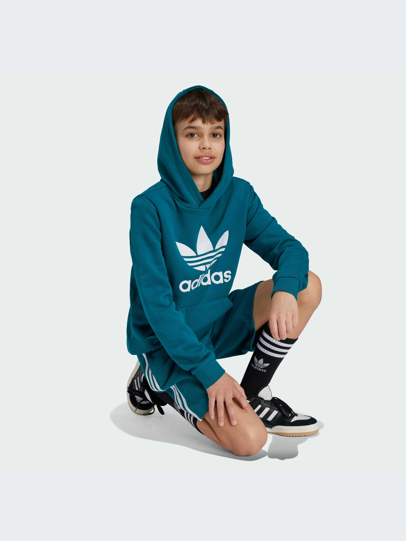 Худі та світшоти Adidas Adicolor модель IY7440 Фото