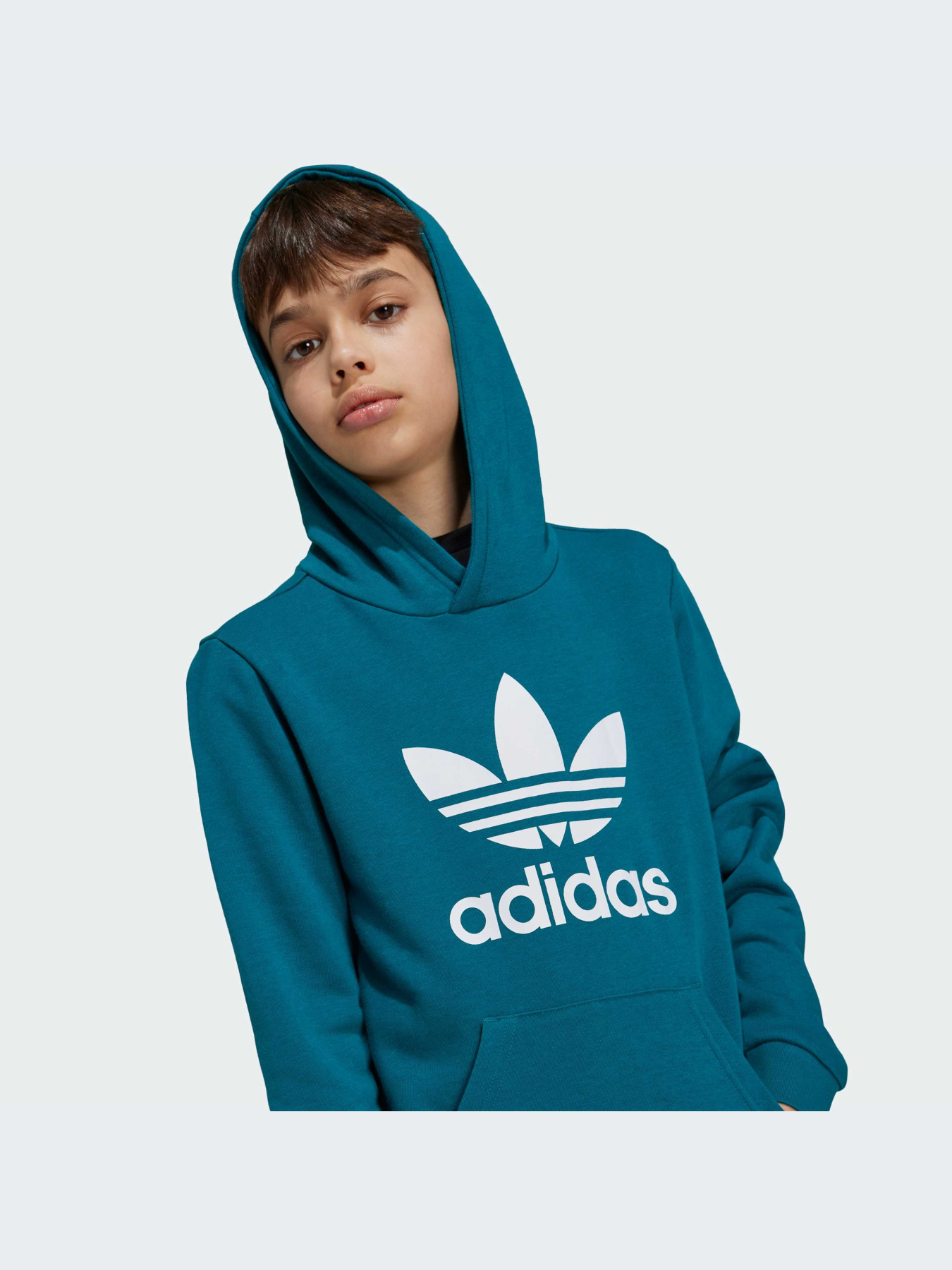 Худі та світшоти Adidas Adicolor модель IY7440 Фото