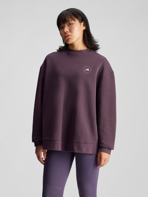 Худи и свитшоты Adidas модель IW9854 Фото