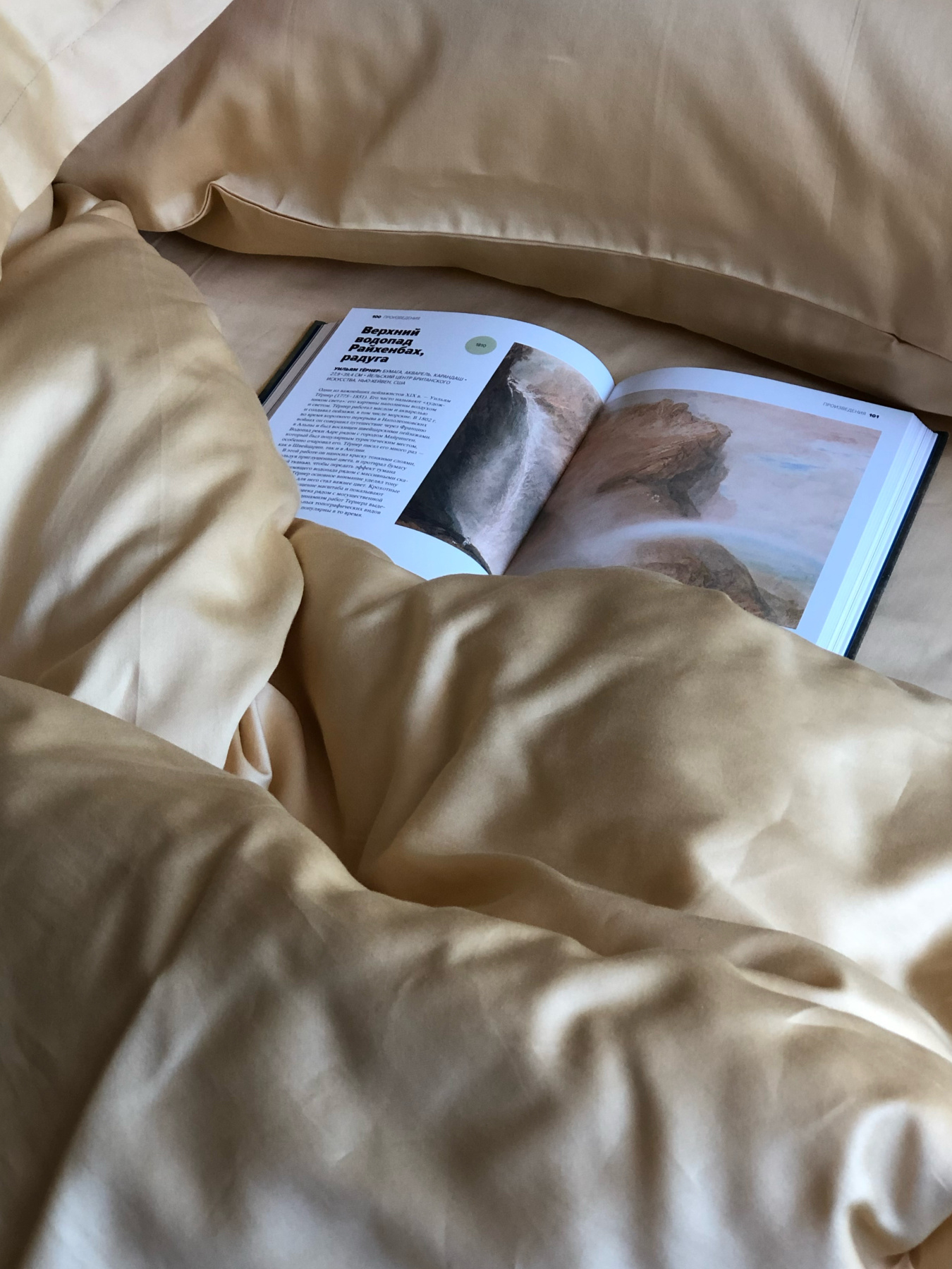 Комплект постільної білизни з рюшами золотий Cozy модель 8047896 Фото