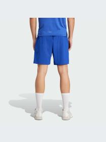 Шорты Adidas модель IX9117 Фото