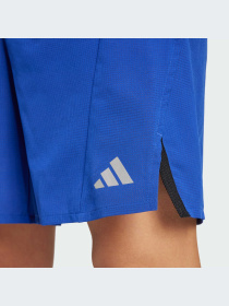 Шорты Adidas модель IX9117 Фото