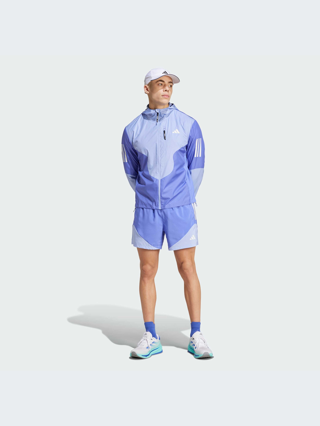 Шорты Adidas модель IW0036 Фото