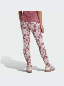 Штани Adidas модель IW3291 Фото