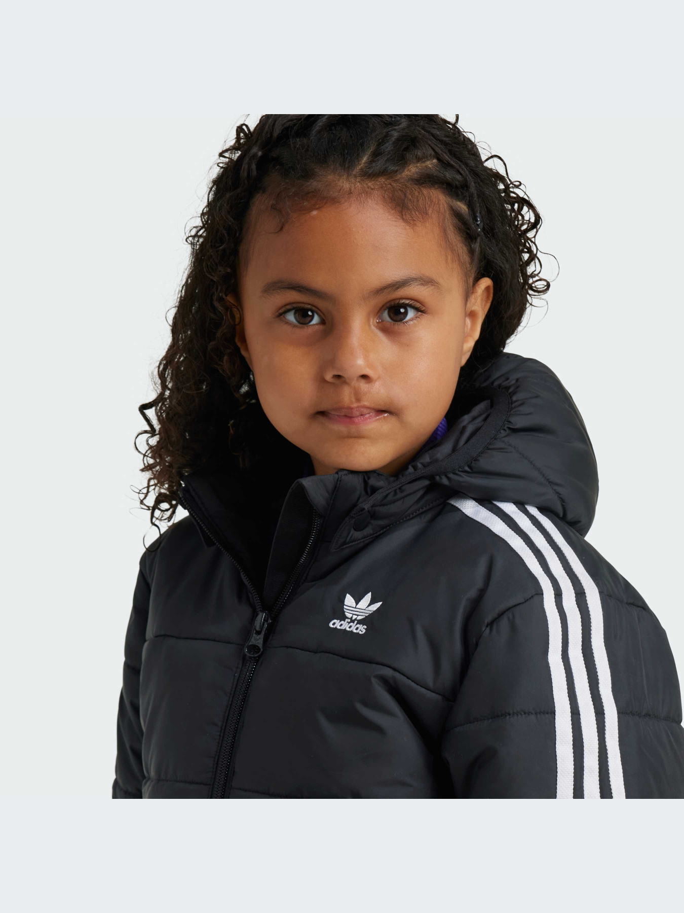 Куртки та дублянки Adidas Adicolor модель IY4812 Фото