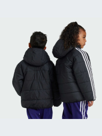 Куртки та дублянки Adidas Adicolor модель IY4812 Фото