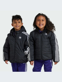Куртки и дубленки Adidas Adicolor модель IY4812 Фото