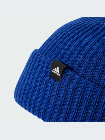 Шапки и кепки Adidas модель IY5582 Фото
