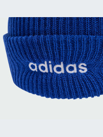 Шапки и кепки Adidas модель IY5582 Фото