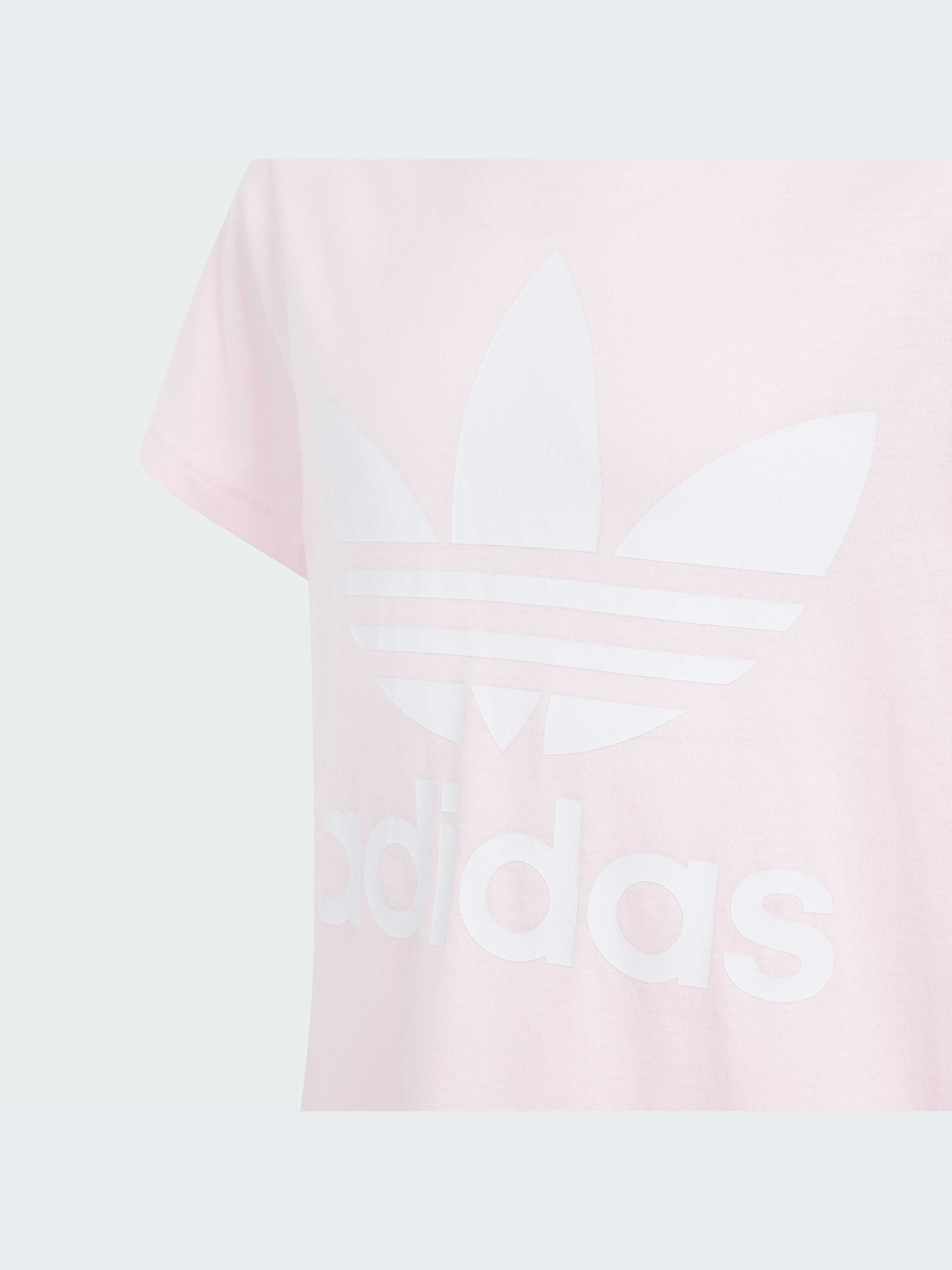 Футболки і поло Adidas Adicolor модель IN8446 Фото