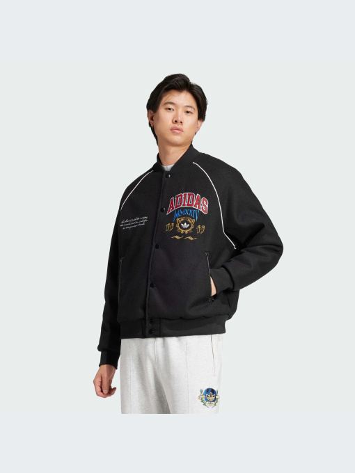 Куртки и дубленки Adidas Graphics модель IX6767 Фото