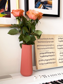 Ваза для квітів пластикова коралова MBM HOME модель DH-FLOWERS-05 CORAL Фото