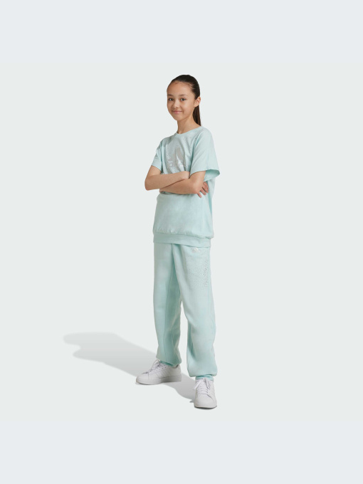 Брюки Adidas модель IV9431 Фото