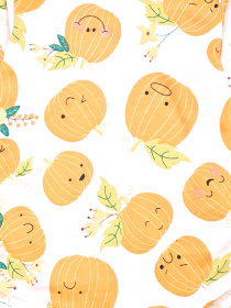 Одяг для немовлят Dexter’s модель HappyPumpkinsWhiteOrangeBDSTDXT Фото