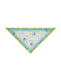 Шарфи та хустки MyScarf Basic модель p19661430521 Фото