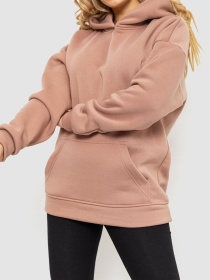 Худи и свитшоты Ager модель У-1127141::000000023 Фото