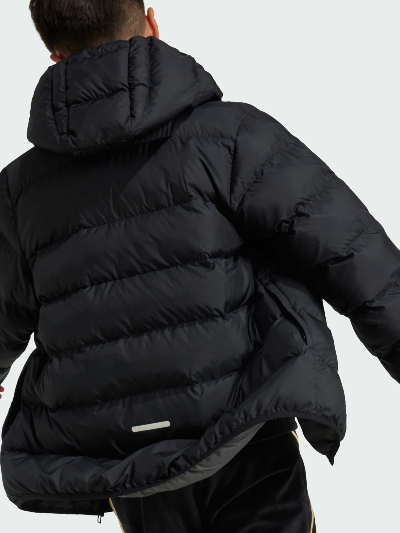Куртки та дублянки Adidas модель IV9505 Фото