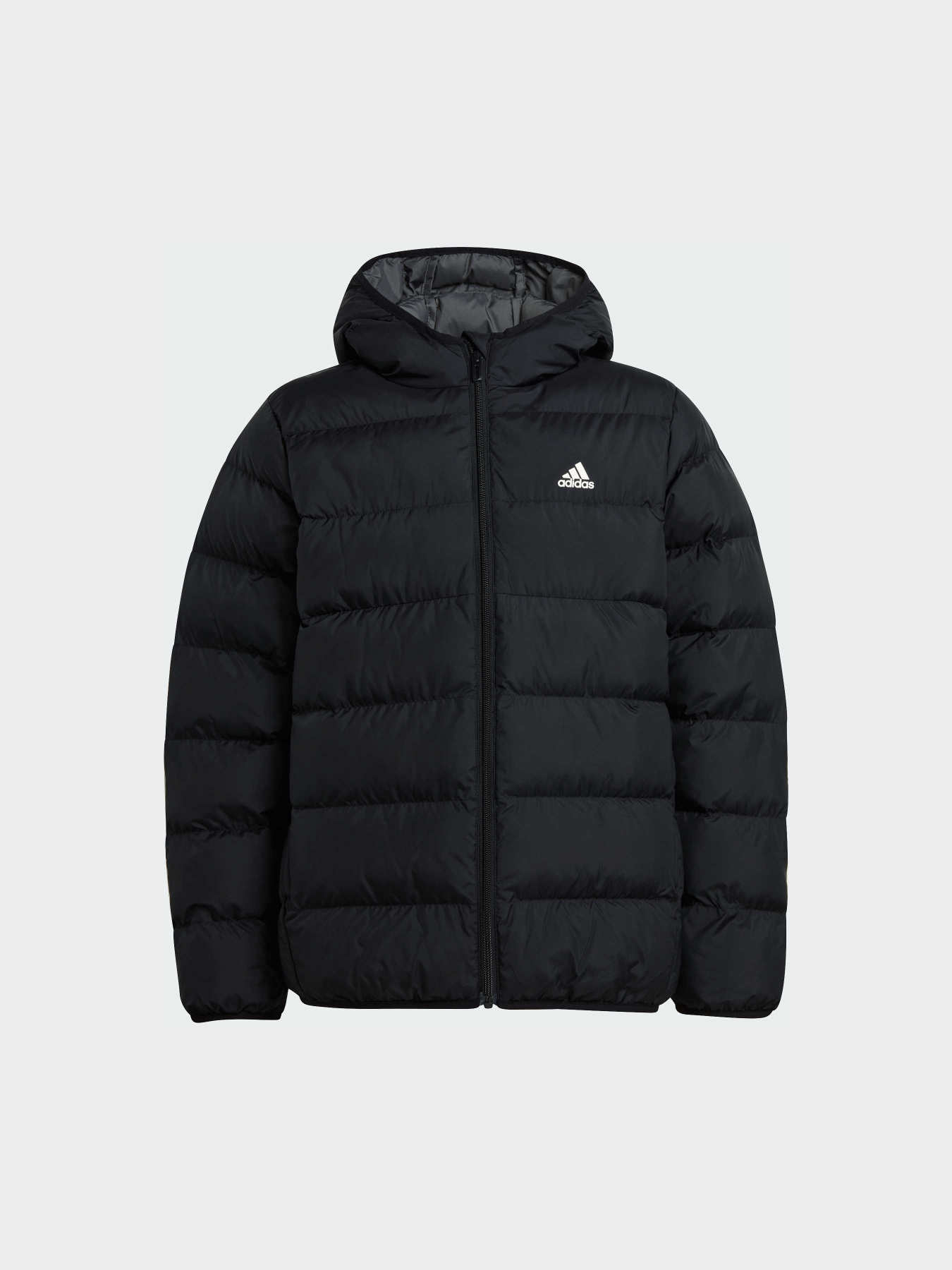 Куртки та дублянки Adidas модель IV9505 Фото