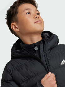 Куртки та дублянки Adidas модель IV9505 Фото