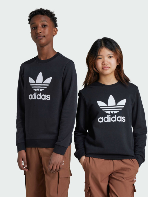 Худі та світшоти Adidas Adicolor модель IY7435 Фото