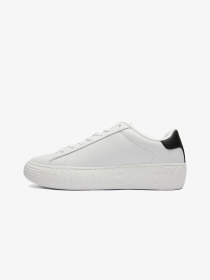 Кеды Tommy Jeans модель EM0EM01159.YBR Фото
