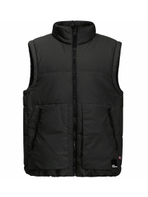 Куртки и дубленки Jack Wolfskin Teen Ins Vest модель 1610211_6502 Фото