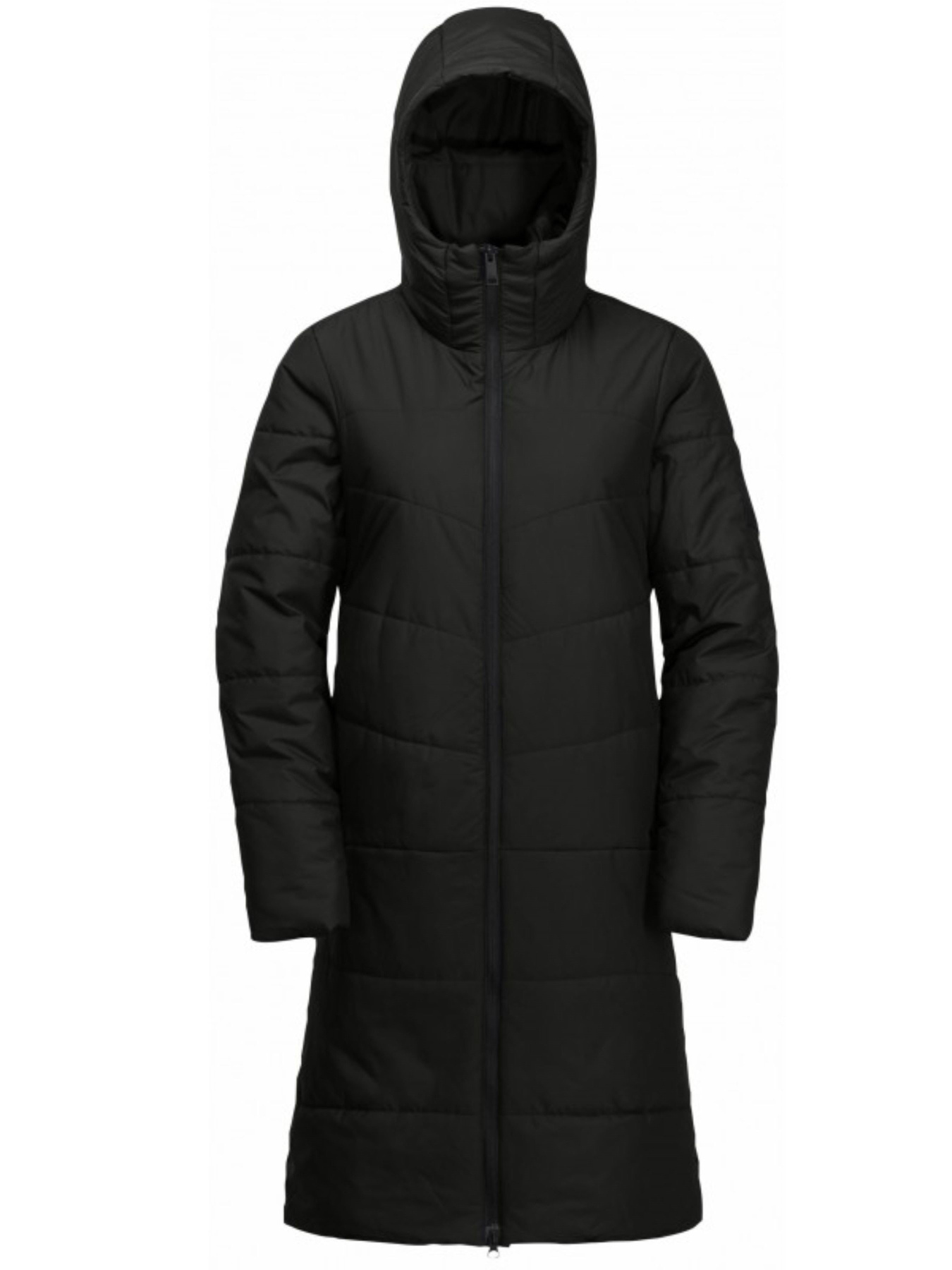 Куртки и дубленки Jack Wolfskin Deutzer модель 1207501_6350 Фото