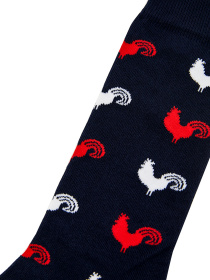 Шкарпетки та гольфи GARCON FRANCAIS Chaussettes16TRO модель Chaussettes16TRO Фото