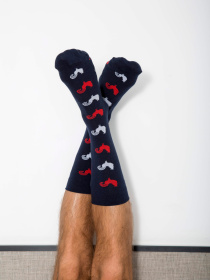 Шкарпетки та гольфи GARCON FRANCAIS Chaussettes16TRO модель Chaussettes16TRO Фото