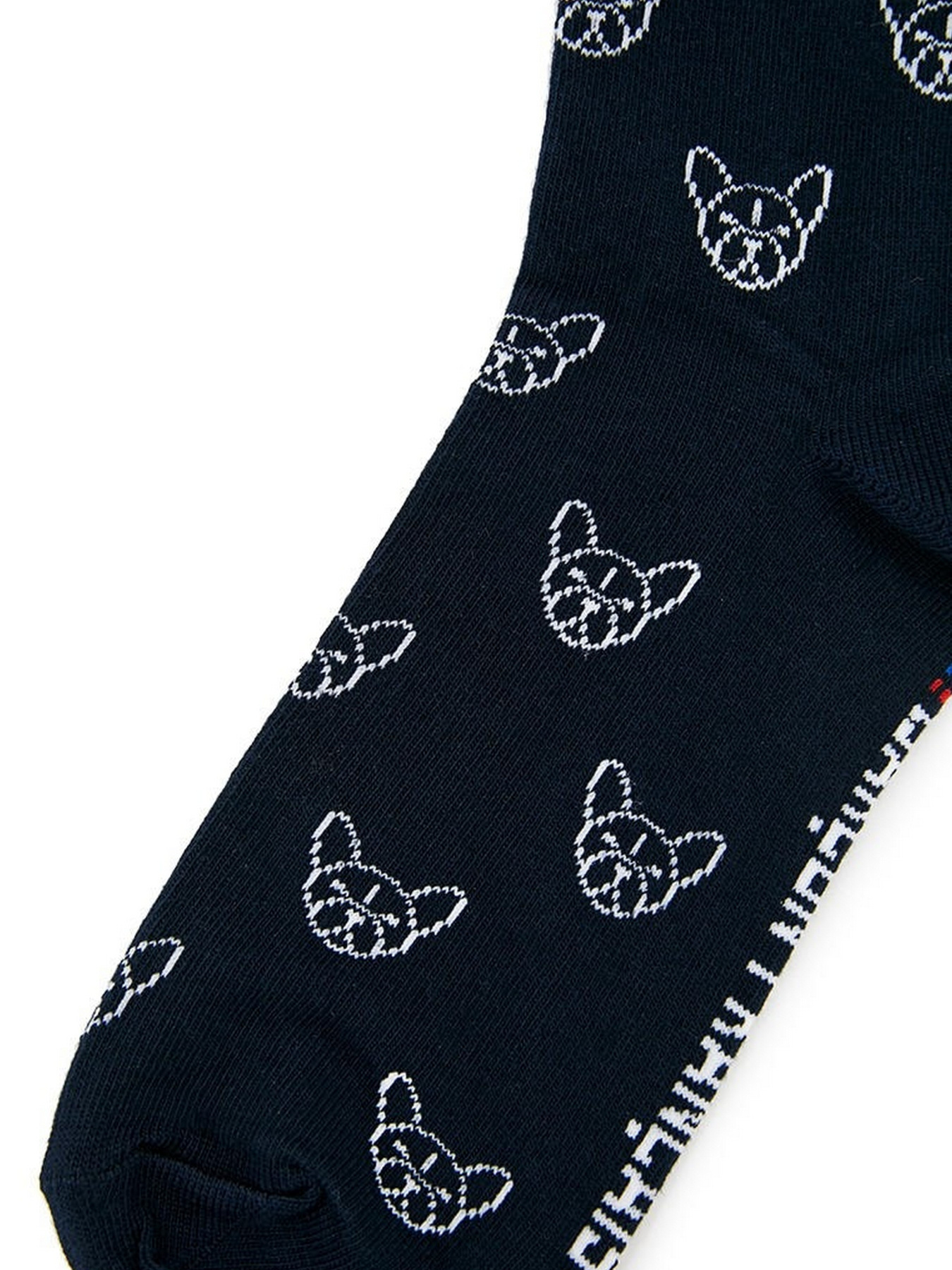 Шкарпетки та гольфи GARCON FRANCAIS Chaussettes16BBU модель Chaussettes16BBU Шкарпетки та гольфи GARCON FRANCAIS Chaussettes16BBU модель Chaussettes16BBU Фото