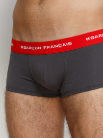 Нижня білизна GARCON FRANCAIS Shorty12GRI модель Shorty12GRI Фото