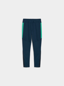 Штани PUMA Neymar Jr Bna Trg Pants Jr модель 659707 Фото