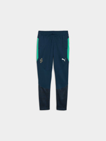 Штани PUMA Neymar Jr Bna Trg Pants Jr модель 659707 Фото