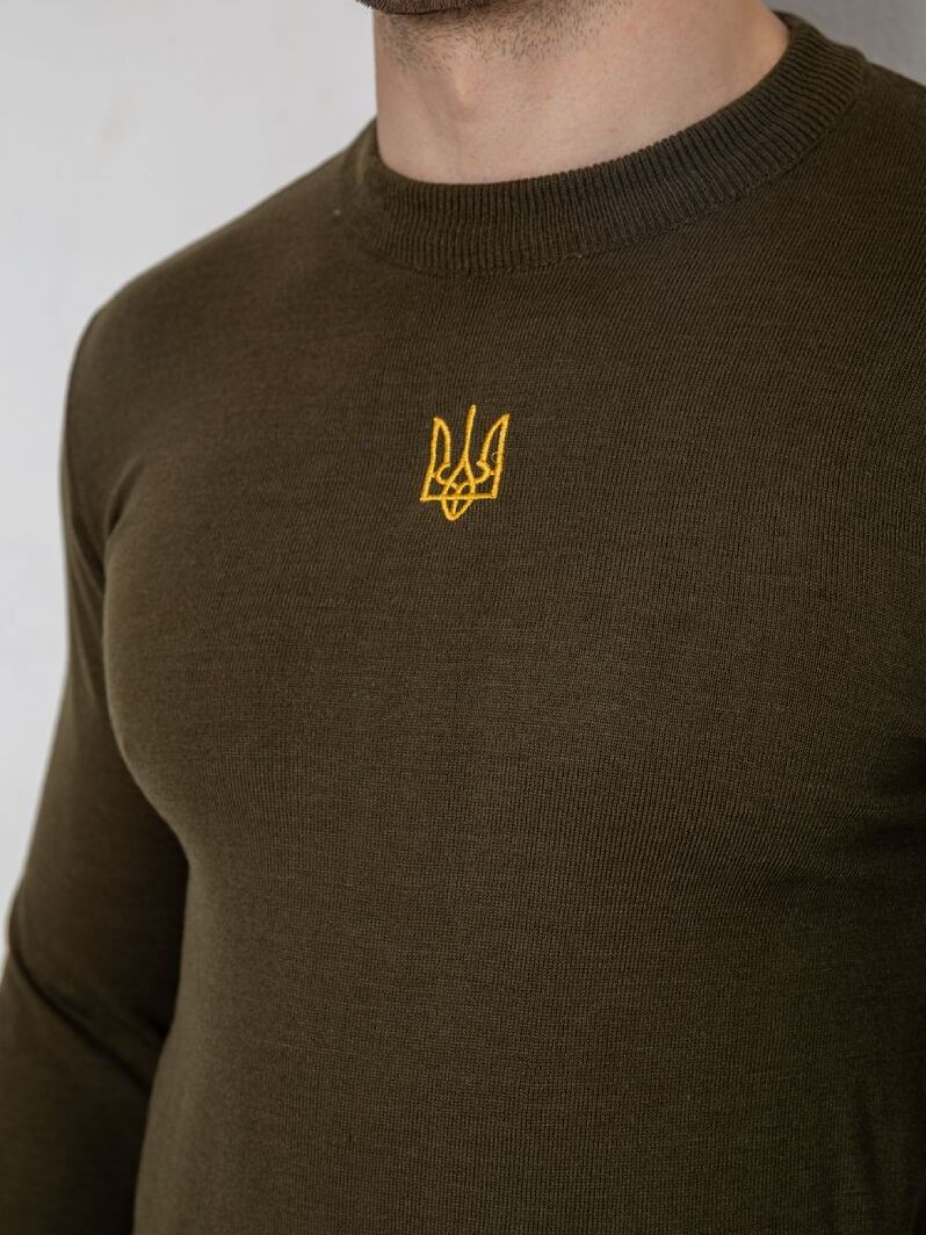 Свитры и кардиганы Ager модель У-1132177::000000227 Фото