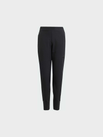 Брюки Adidas ZNE модель IN6962 Фото