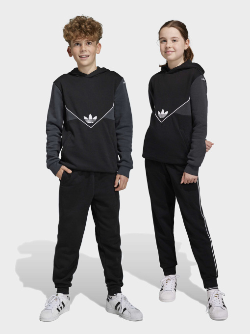 Брюки Adidas Adicolor модель IC6234 Фото