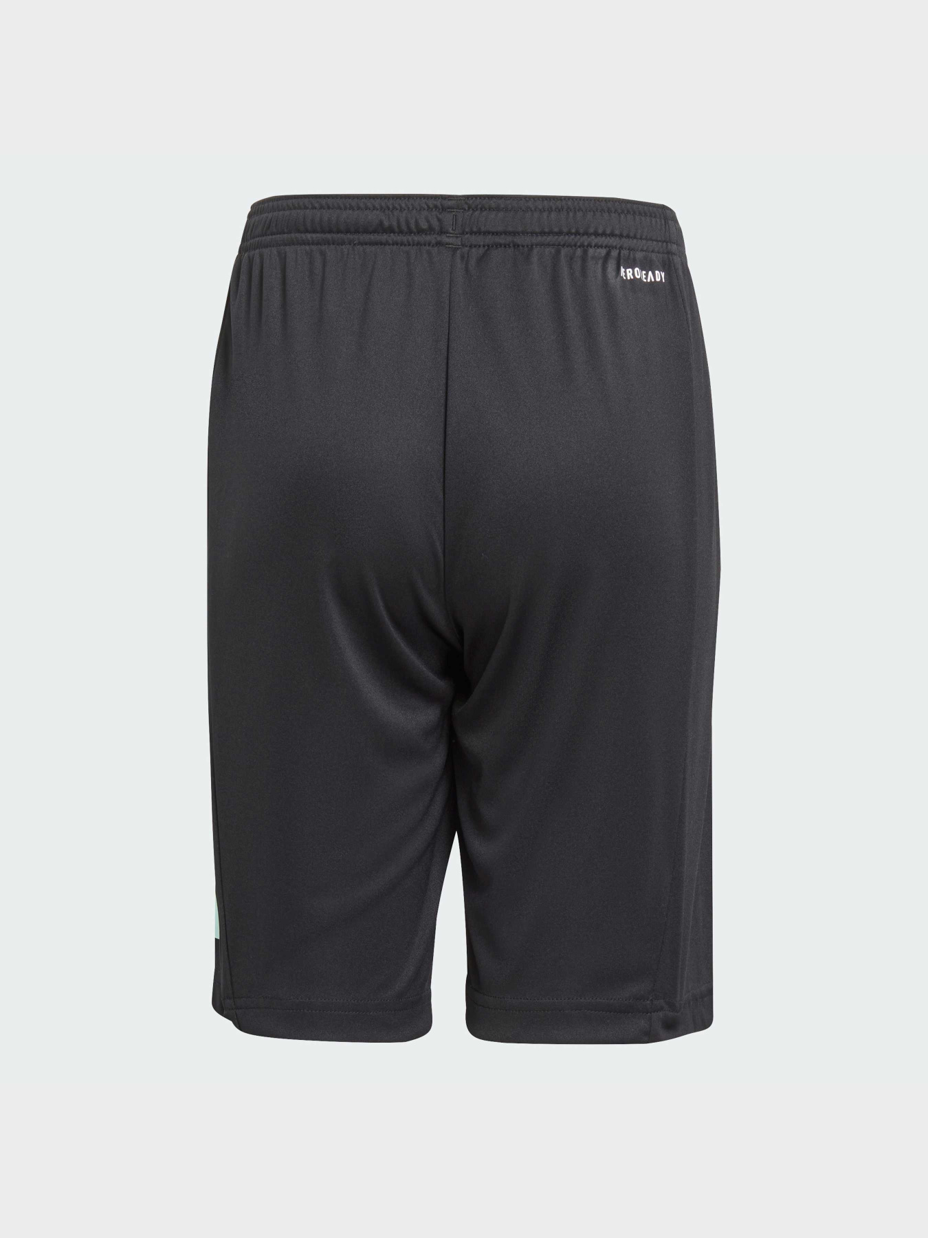 Шорты Adidas модель IJ9564 Фото