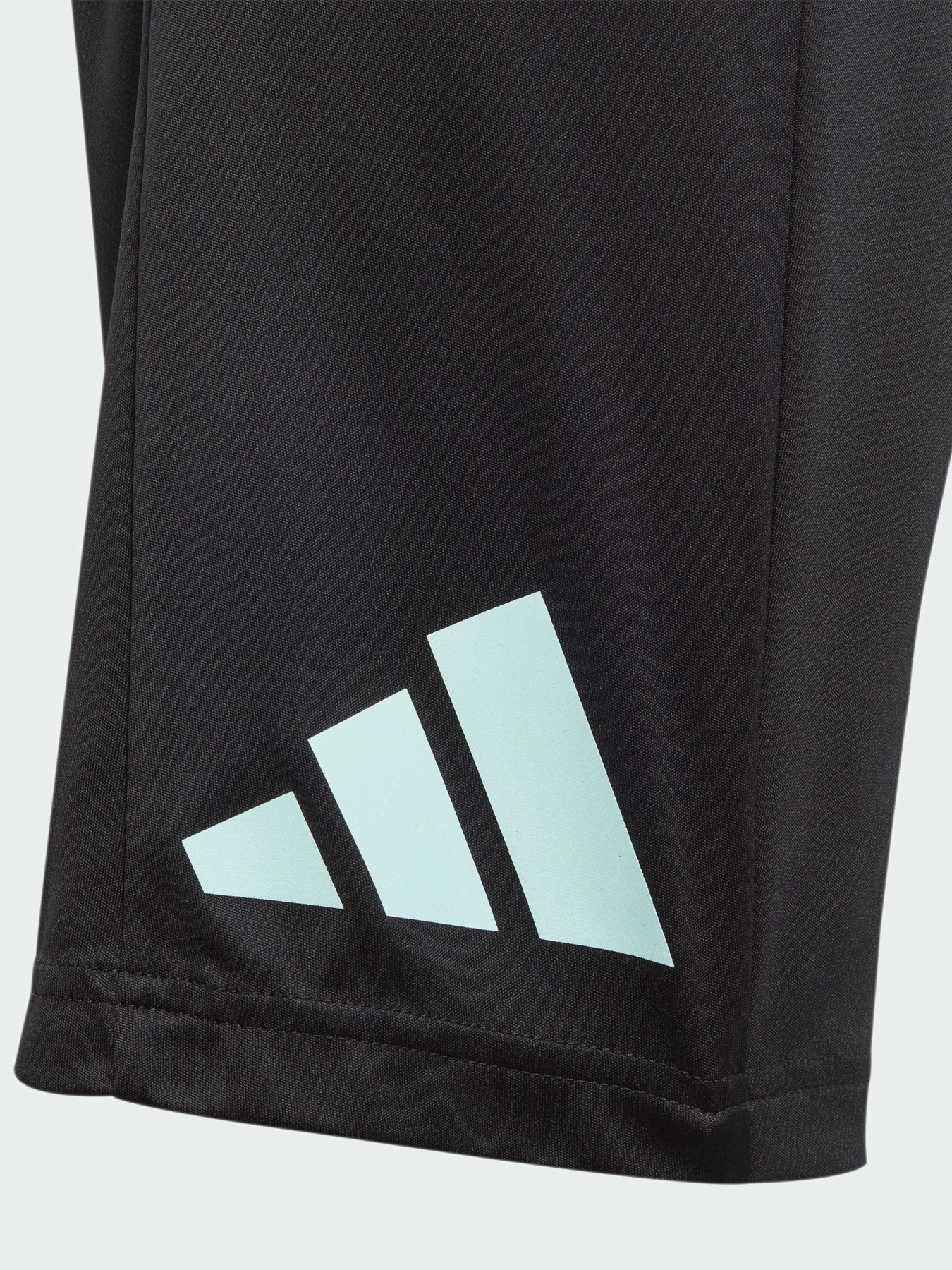 Шорты Adidas модель IJ9564 Фото