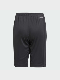 Шорты Adidas модель IJ9564 Фото