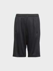 Шорты Adidas модель IJ9564 Фото