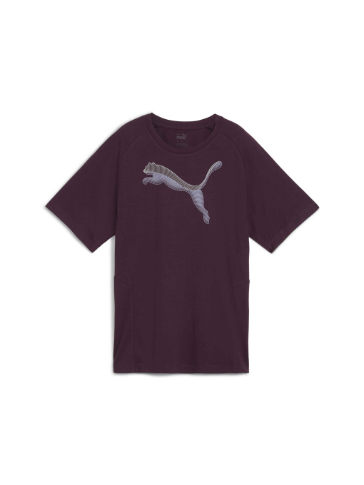 Футболки и поло PUMA Evostripe Tee модель 681668 Фото