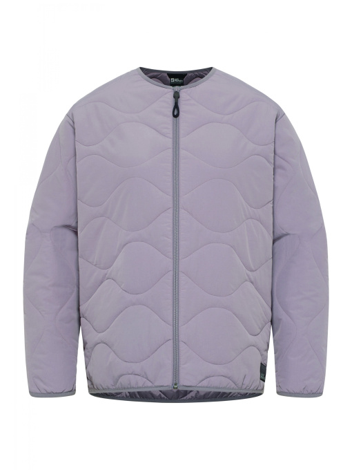 Куртки та дублянки Jack Wolfskin Wandersome модель A60173_I0084 Фото
