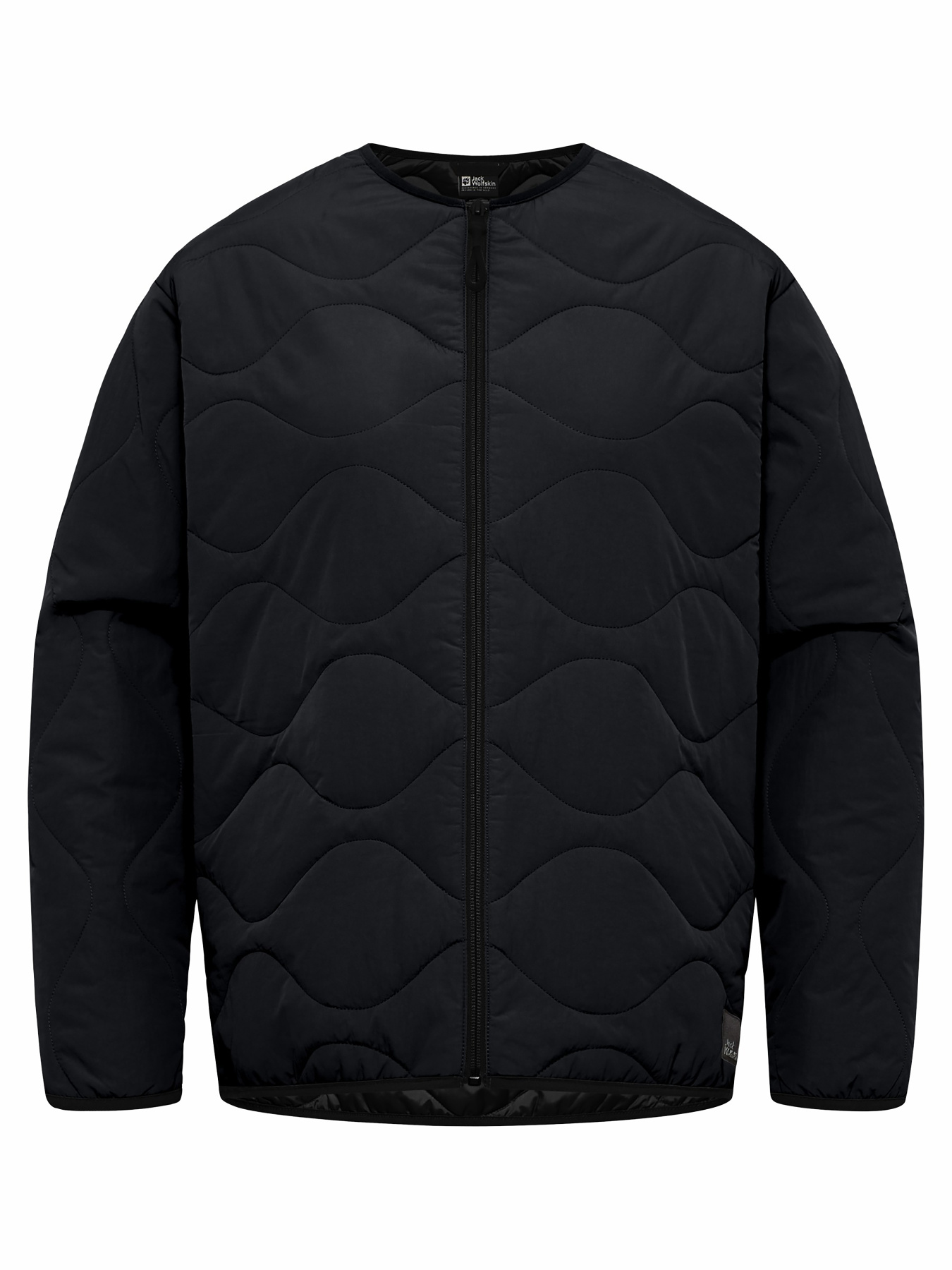 Куртки и дубленки Jack Wolfskin Wandersome модель A60173_6502 Фото