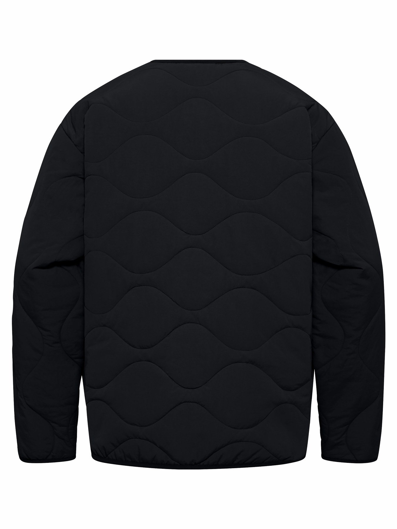 Куртки и дубленки Jack Wolfskin Wandersome модель A60173_6502 Фото