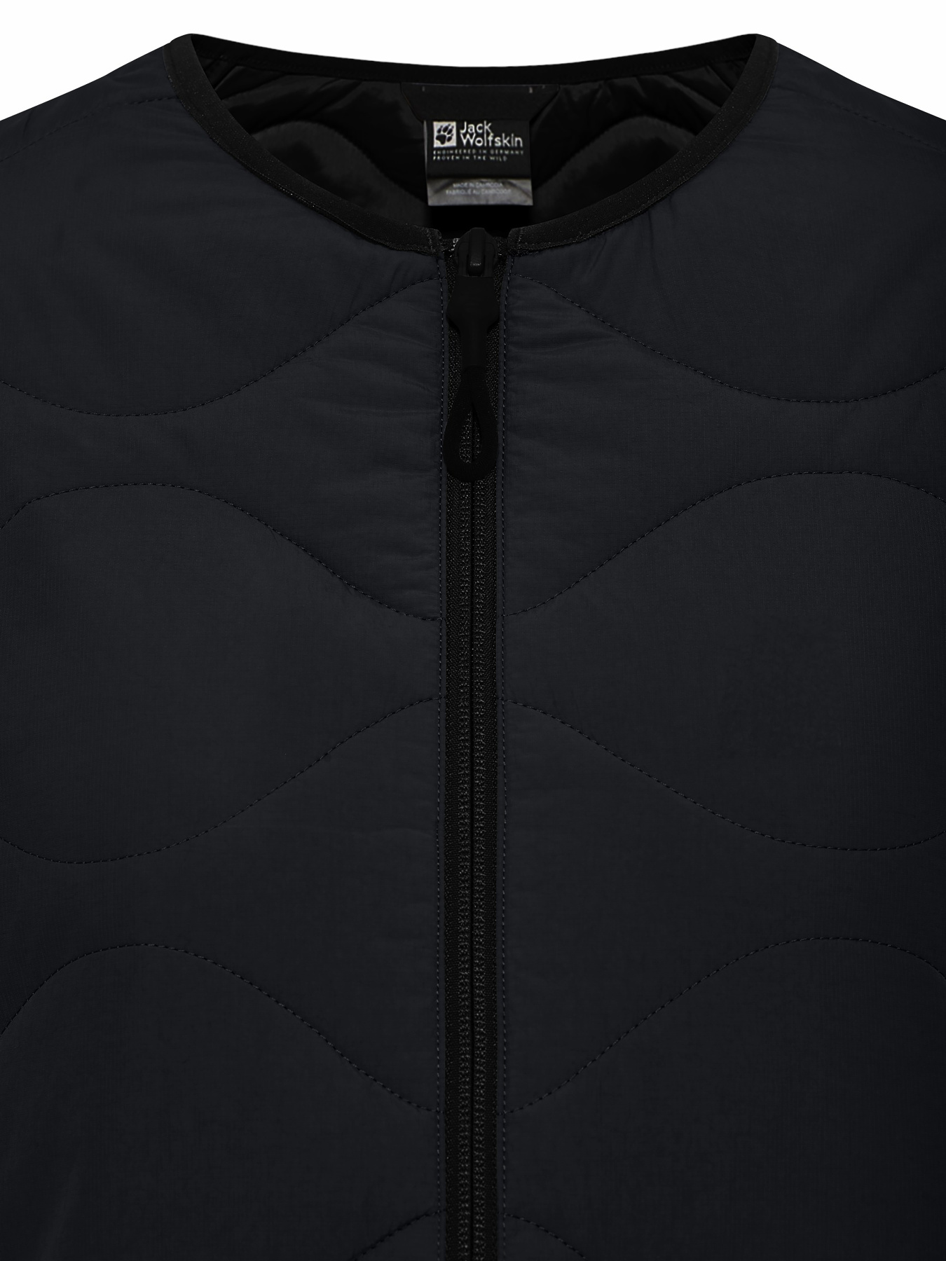 Куртки и дубленки Jack Wolfskin Wandersome модель A60173_6502 Фото