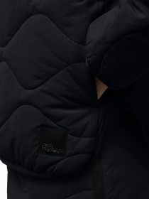 Куртки и дубленки Jack Wolfskin Wandersome модель A60173_6502 Фото
