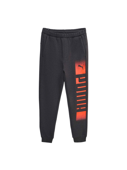 Штани PUMA Sweatpants Fl модель 589616 Фото